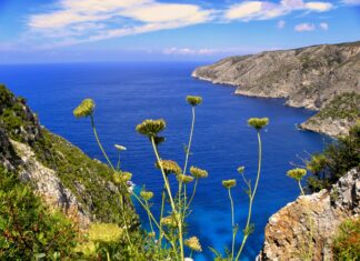 Karavan Kampı Mı Çadır Kampı Mı? En İyi Seçenekler ve İpuçları