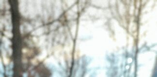 Karavan Park Yerleri Ücretli Mi? Merak Edilen Tüm Detaylar