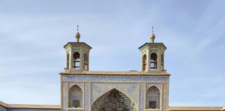 Doğada Nasıl Hayatta Kalınır? Şaşırtıcı Taktiklerle Keşfedin