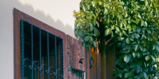 Kamp Alanlarında Sık Görülen Bitkiler Ve Hayvanlar Hakkında Şaşırtıcı Gerçekler