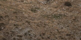 Yalnız Kamp Yapmak: Tehlikeler ve Keyifli Yanlarıyla Keşfedin