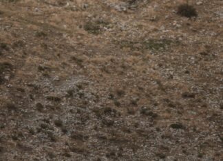 Yalnız Kamp Yapmak: Tehlikeler ve Keyifli Yanlarıyla Keşfedin