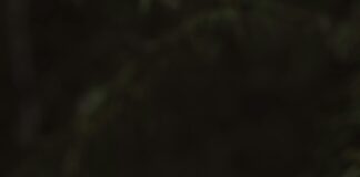 İleri Seviye Kampçılık: Doğada Uzun Süreli Yaşamın Sırları