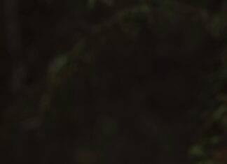 İleri Seviye Kampçılık: Doğada Uzun Süreli Yaşamın Sırları