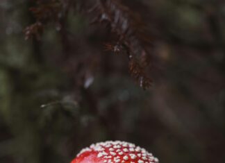 Kamp Yaparken Dikkat Edilmesi Gereken Hukuki Kurallar Nelerdir?