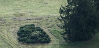 Kamp Yerlerinde Doğa Kuralları: Bilmeniz Gereken Önemli İpuçları