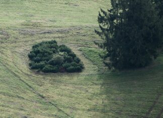 Kamp Yerlerinde Doğa Kuralları: Bilmeniz Gereken Önemli İpuçları