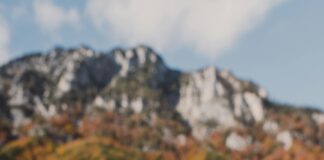 Kampçılar İçin Doğa Fotoğrafçılığı Rehberi: Muhteşem Çekim Tüyoları