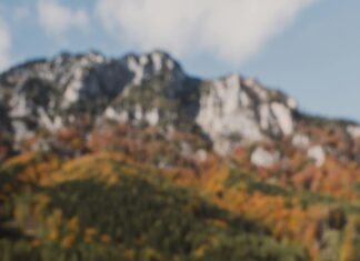 Kampçılar İçin Doğa Fotoğrafçılığı Rehberi: Muhteşem Çekim Tüyoları