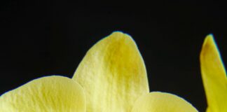 Karavanda Su Ve Elektrik Nasıl Sağlanır? Pratik ve Etkili Yöntemler