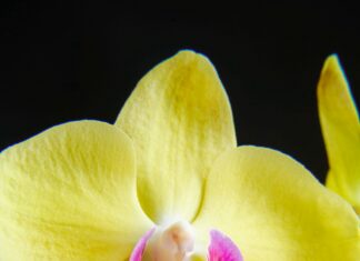 Karavanda Su Ve Elektrik Nasıl Sağlanır? Pratik ve Etkili Yöntemler