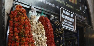 Karavan İçinde Yemek Nasıl Yapılır? Pratik ve Lezzetli İpuçları