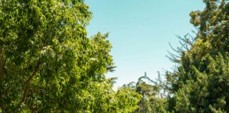 Doğada İlk Yardım Çantasında Neler Olmalı? Hayatta Kalmanın Sırları