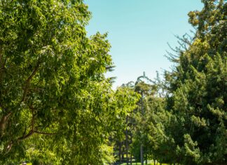 Doğada İlk Yardım Çantasında Neler Olmalı? Hayatta Kalmanın Sırları