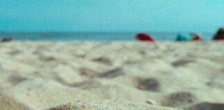 Karavan Kiralamak Mı Satın Almak Mı? En İyi Seçenekler Nelerdir?