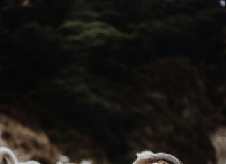 Akdeniz Kıyısında Kamp Yapılacak Yerler Neresi? En İyi Seçenekler!