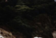 Orman İçinde Kamp Yapmak Yasal Mı? Bilmeniz Gerekenler!