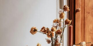 Doğada Ateş Nasıl Yakılır? Kolay ve Güvenli Yöntemler Öğrenin