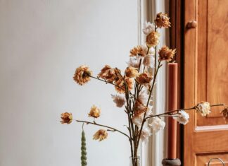 Doğada Ateş Nasıl Yakılır? Kolay ve Güvenli Yöntemler Öğrenin