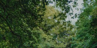 Kamp Alanı İçin Acil Tahliye Planı Nasıl Yapılır? Etkili Yöntemler!