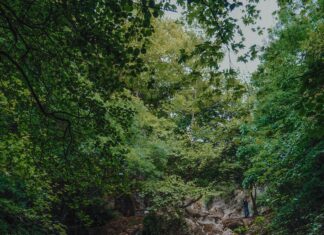 Kamp Alanı İçin Acil Tahliye Planı Nasıl Yapılır? Etkili Yöntemler!