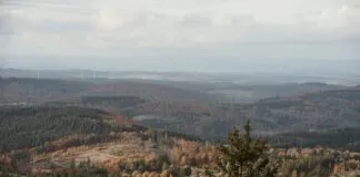 Türkiye’deki Doğal Park İçindeki Kamp Yerleri: En İyi Seçenekler!