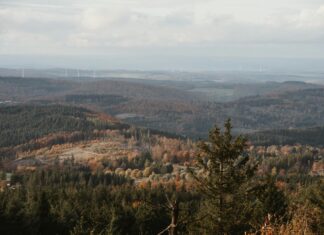 Türkiye’deki Doğal Park İçindeki Kamp Yerleri: En İyi Seçenekler!