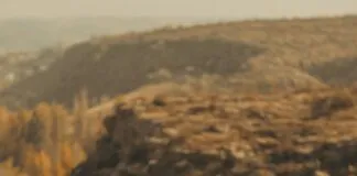 En Çok Tercih Edilen Kamp Çantası Markaları Hangileri? Keşfedin!