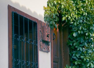 Kamp Esnasında Sinek Ve Böceklerden Nasıl Korunulur? Etkili Yöntemler!