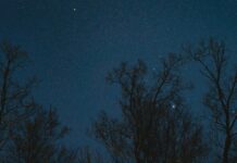 Gece Kamp Yaparken Dikkat Edilmesi Gerekenler Nelerdir? Merak Ediyor Musunuz?