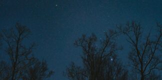 Gece Kamp Yaparken Dikkat Edilmesi Gerekenler Nelerdir? Merak Ediyor Musunuz?