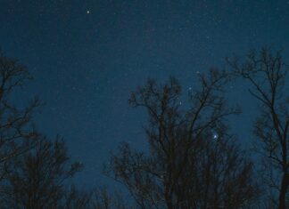 Gece Kamp Yaparken Dikkat Edilmesi Gerekenler Nelerdir? Merak Ediyor Musunuz?