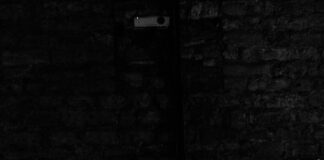 Kamp Alanında Güvenlik Kameraları Kullanılır Mı? Merak Edilenler