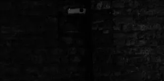 Kamp Alanında Güvenlik Kameraları Kullanılır Mı? Merak Edilenler