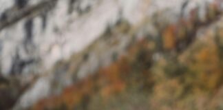 Türkiye’de En Güzel Sonbahar Kamp Yerleri Nereler? Keşfedin!