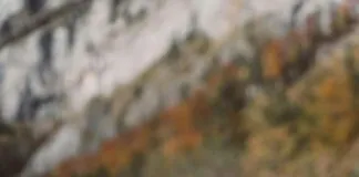 Türkiye’de En Güzel Sonbahar Kamp Yerleri Nereler? Keşfedin!