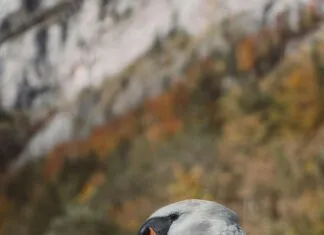 Türkiye’de En Güzel Sonbahar Kamp Yerleri Nereler? Keşfedin!