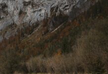 Kamp Alanı Çevresinde Doğa Yürüyüşü Yapılır Mı? Keşfedin!