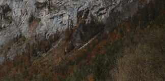 Kamp Alanı Çevresinde Doğa Yürüyüşü Yapılır Mı? Keşfedin!