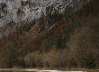 Kamp Alanı Çevresinde Doğa Yürüyüşü Yapılır Mı? Keşfedin!