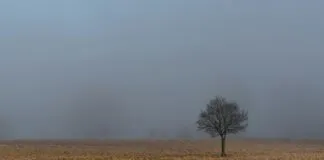 Kamp Esnasında Diş Fırçalamak Nerede Yapılmalı? İpuçlarıyla Keşfedin