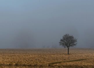Kamp Esnasında Diş Fırçalamak Nerede Yapılmalı? İpuçlarıyla Keşfedin