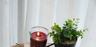 İlk Defa Kamp Yapacaklara Önerilen Kitaplar: Bilmeniz Gerekenler