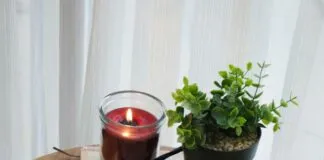 İlk Defa Kamp Yapacaklara Önerilen Kitaplar: Bilmeniz Gerekenler