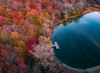 Kamp Ocağı Mı Mangal Mı Daha Kullanışlı? En İyi Seçim!