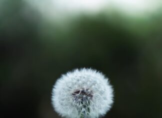 Doğada Yön Bulma Yöntemleri Nelerdir? Etkili Taktikler!