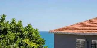 Yaz Kampında Sivrisineklerden Korunmak İçin Etkili Yöntemler