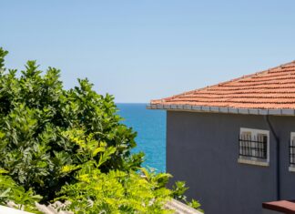 Yaz Kampında Sivrisineklerden Korunmak İçin Etkili Yöntemler