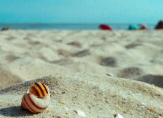 Kamp Alanı Önceden Mi Rezerve Edilmeli? Bilmeniz Gerekenler!