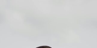 Kamp Alanında Çevreci Olmak İçin Neler Yapılabilir? İşte Fikirler!